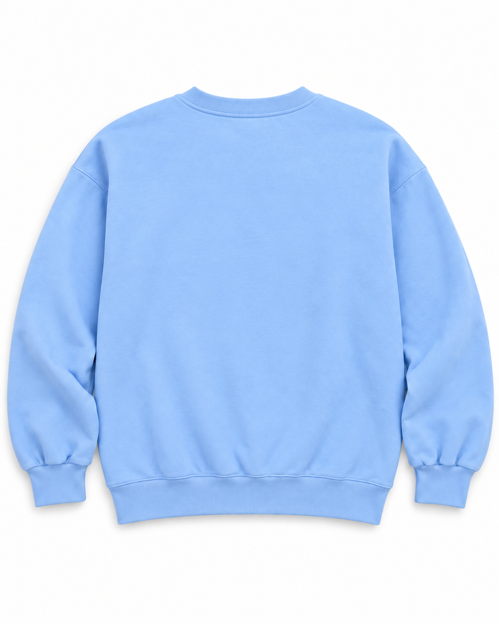 Back view of the plain light blue sweatshirt with long sleeves and ribbed cuffs and hem
